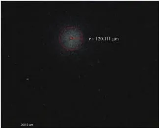 Off-Color Spots Caused by Damage to the Ball Mill Lining and Grinding Media (Alumina Balls)