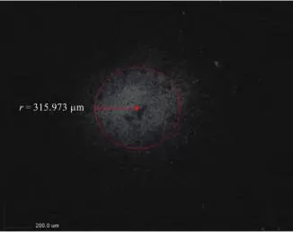 Off-color spots caused by plastic contamination